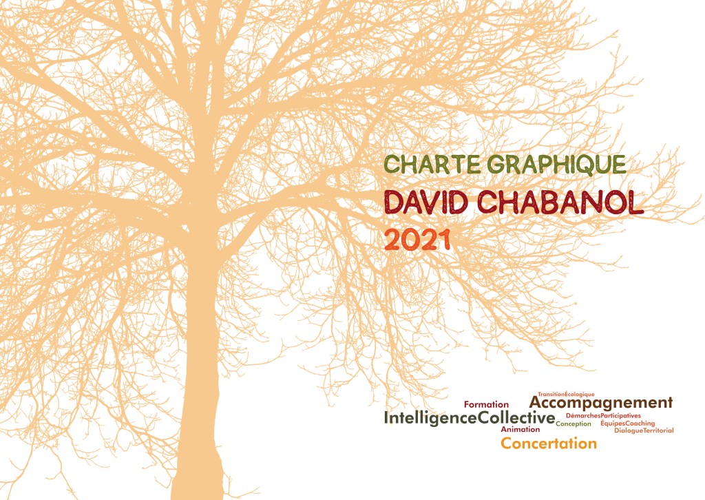 Plat de couverture (recto/verso) de la charte graphique de l'entreprise "David Chabanol".
© Alicia Ros