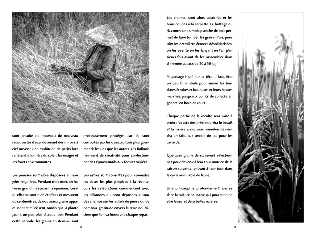 Livret Bali sur mesure accompagnant les clients de l'agence de voyage. 
Double pages intérieures, 2018
© Alicia Ros