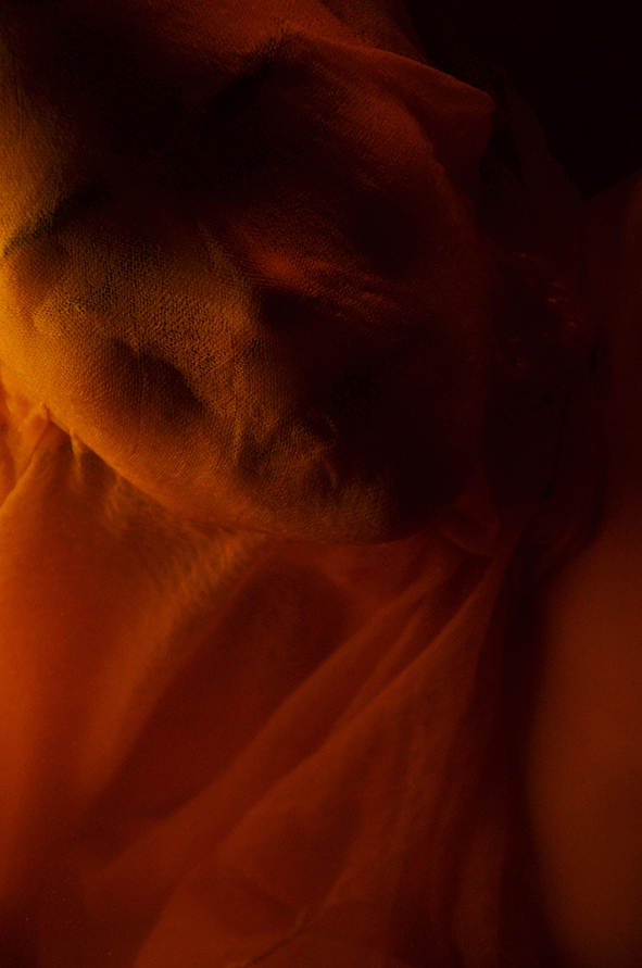 Evanescence (2), 2012.